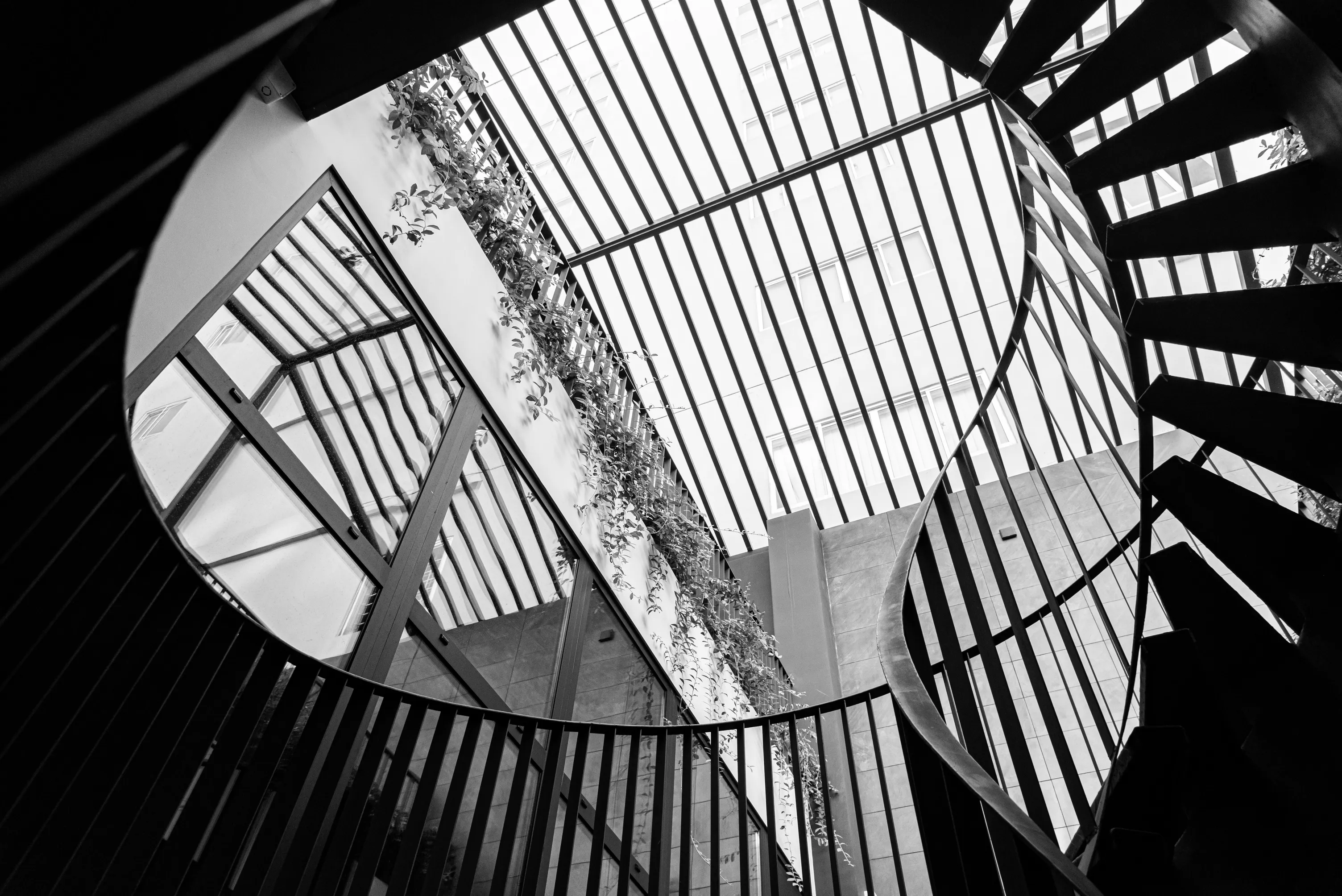 mgm-office-danang - mgm-stairwell-below