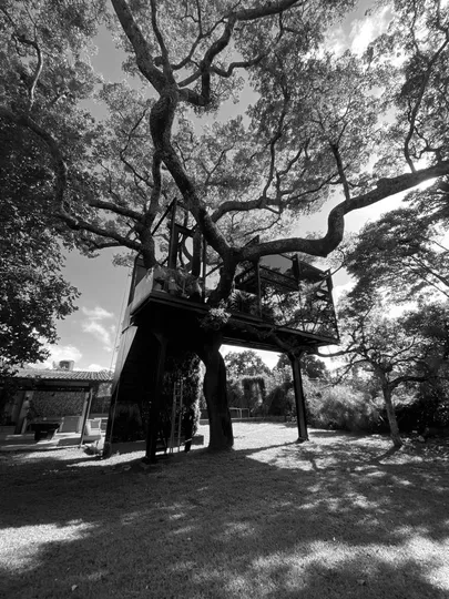 tree-house - treehouse-exterior-01