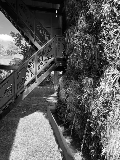 tree-house - treehouse-exterior-03