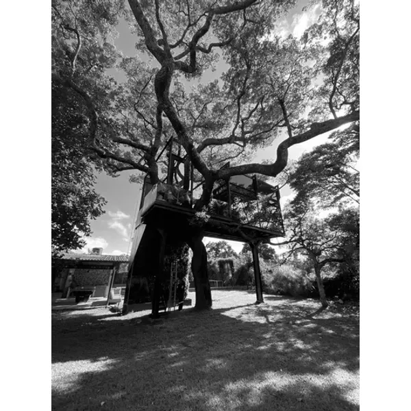 Gallery image treehouse-exterior-01