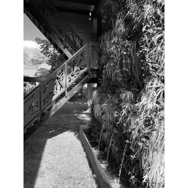 Gallery image treehouse-exterior-03